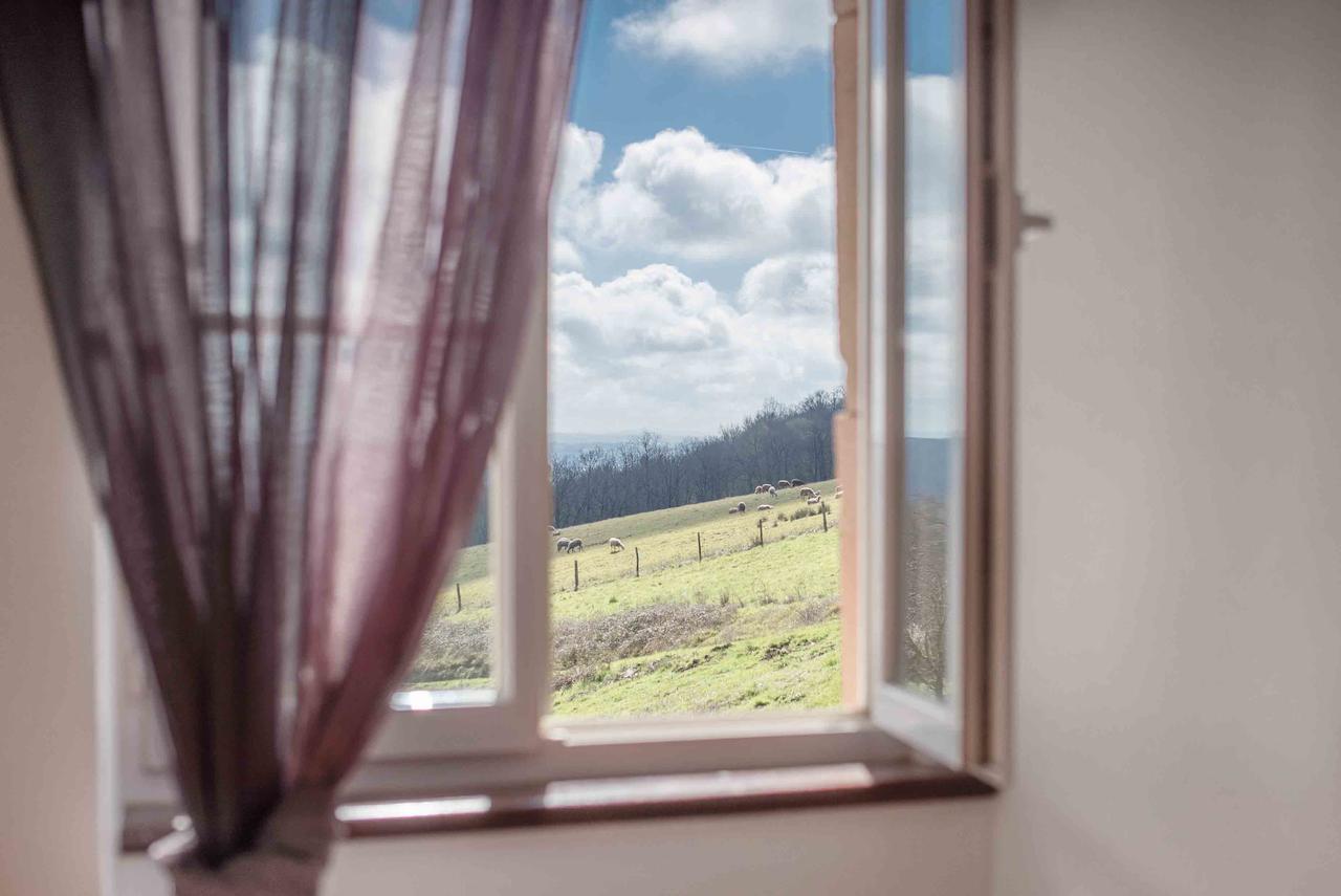 Chambres d'Hôtes Le Pignié Lescure-dʼAlbigeois Extérieur photo
